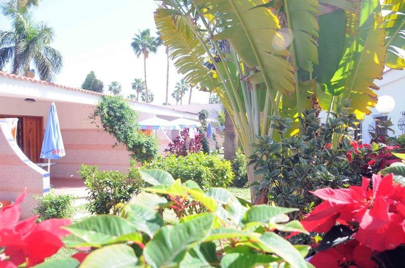 San Valentin & Terraflor Park Playa del Inglés Exterior foto