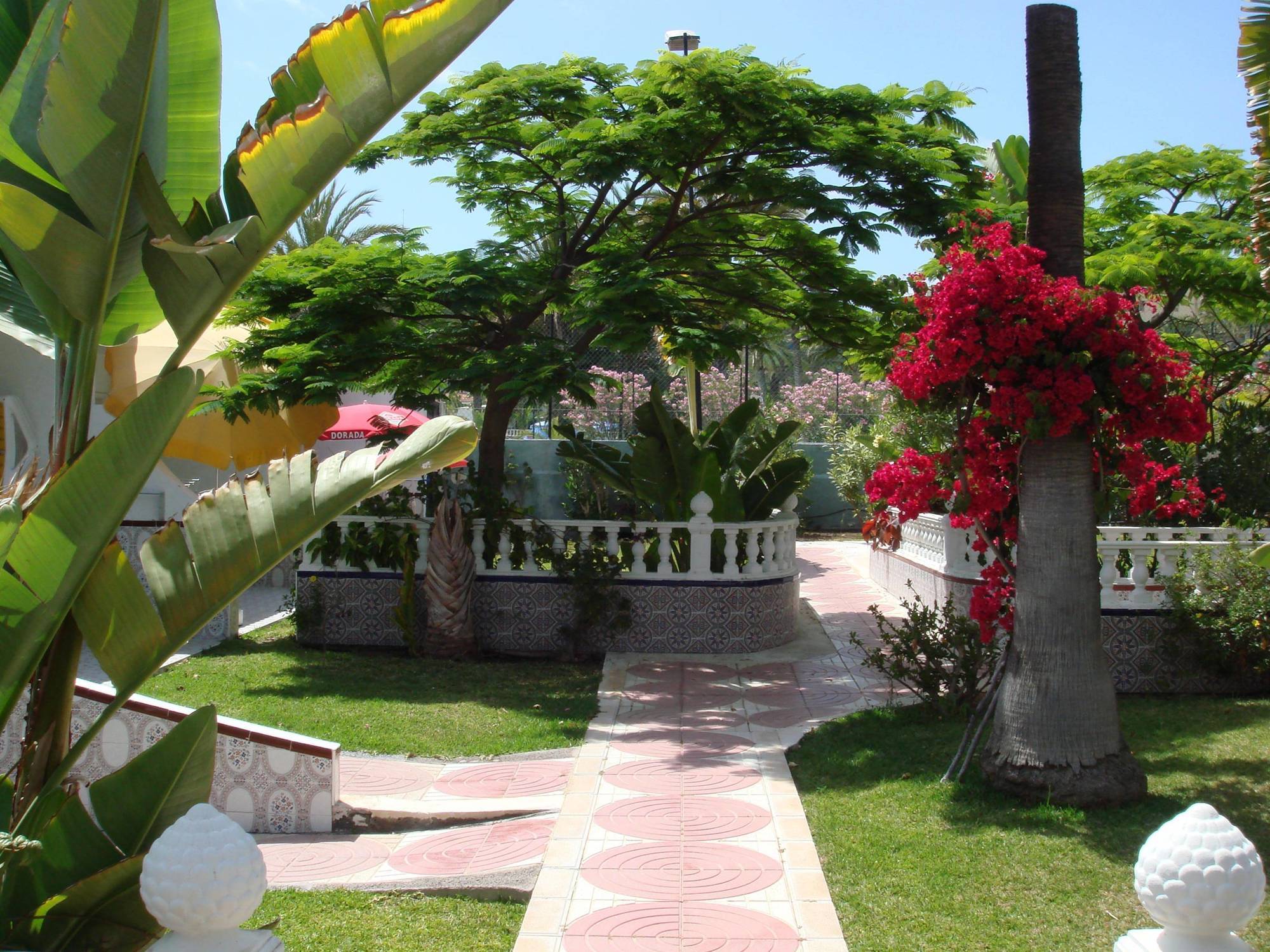 San Valentin & Terraflor Park Playa del Inglés Exterior foto